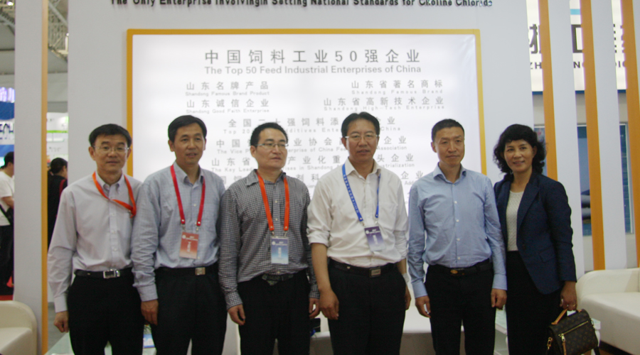 集團公司參展2017年中國飼料工業展覽會